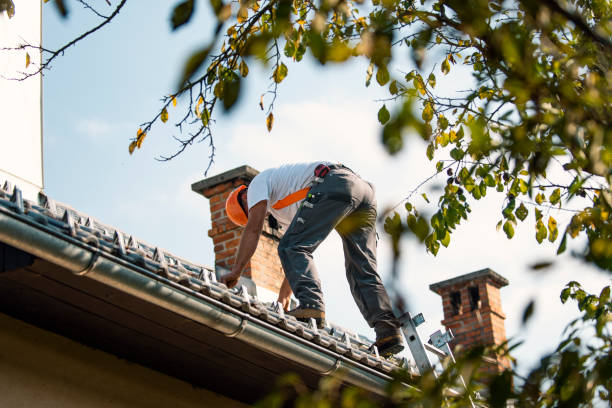 Best Metal Roofing Contractor  in Burton, OH