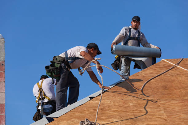 Best Roof Gutter Cleaning  in Burton, OH