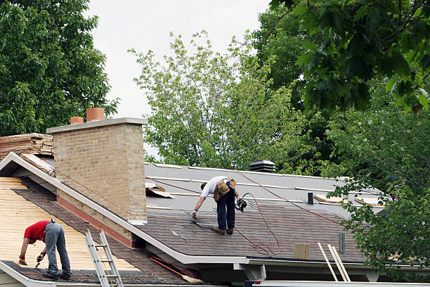 Roof Gutter Cleaning in Burton, OH
